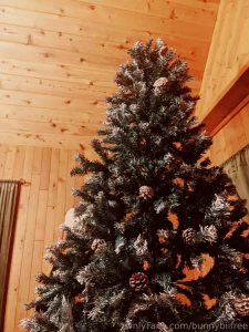 The tree has officially gone up