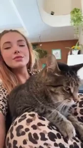 Are you a dog person or a cat person