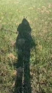 Happy easter the sfw post like these eggs cum hang with me as i play part 13