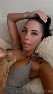 If you love kitties raise your hand