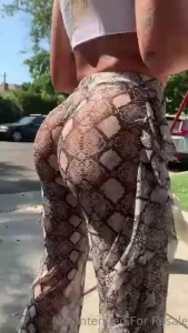 Little booty shake while walking chi haha she was not amused