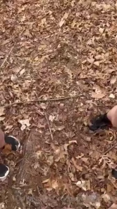 Thanks to anyone who supported my husbands page mrscottx and saw this