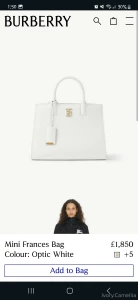 Ivorycamellia1 part 2