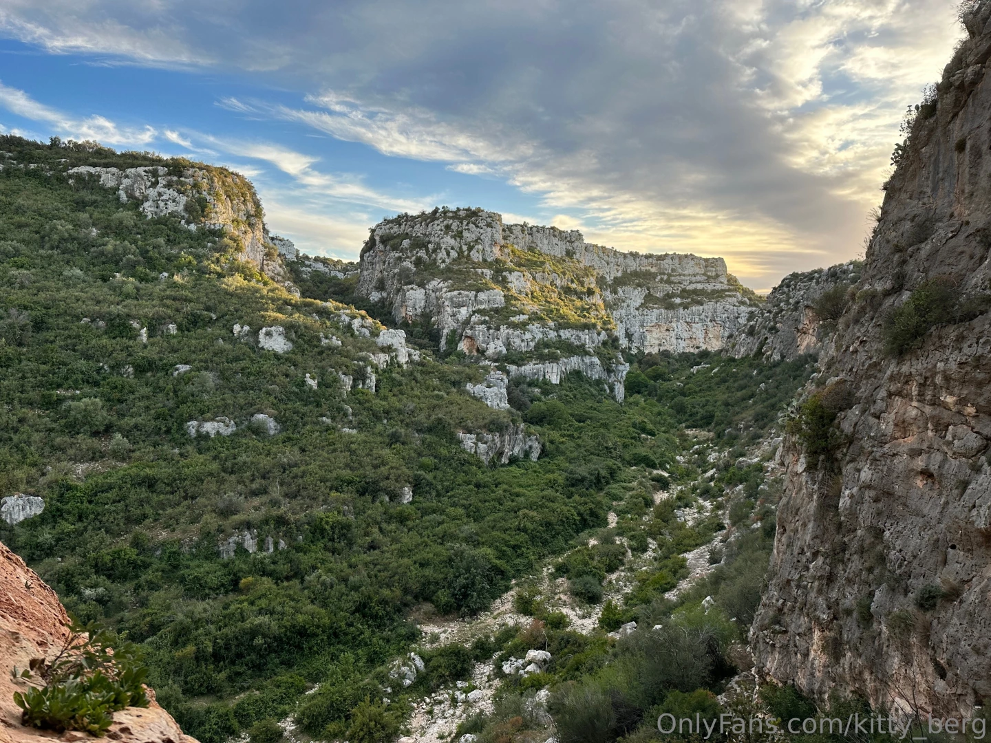 Look at the view i greeted this day with so grateful to have the 