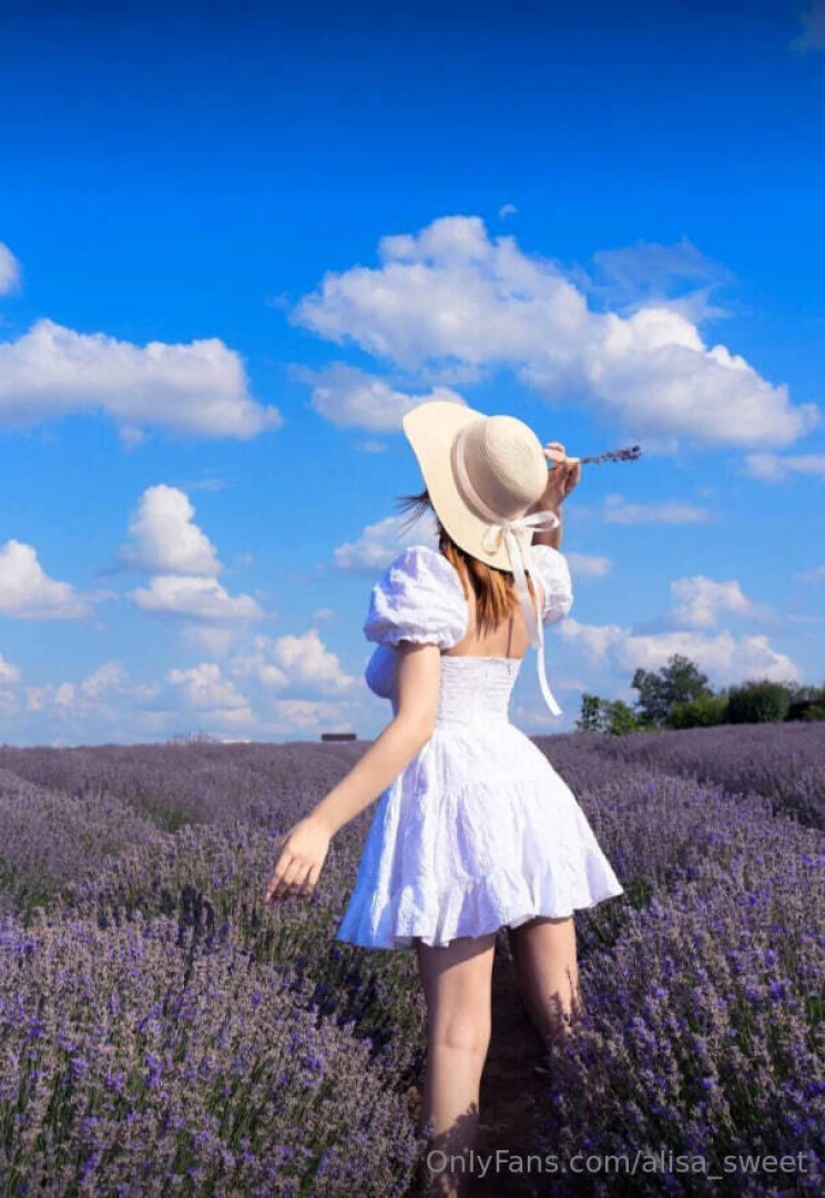 Rejoice in the sky in the sun in the stars in the grass in the trees 