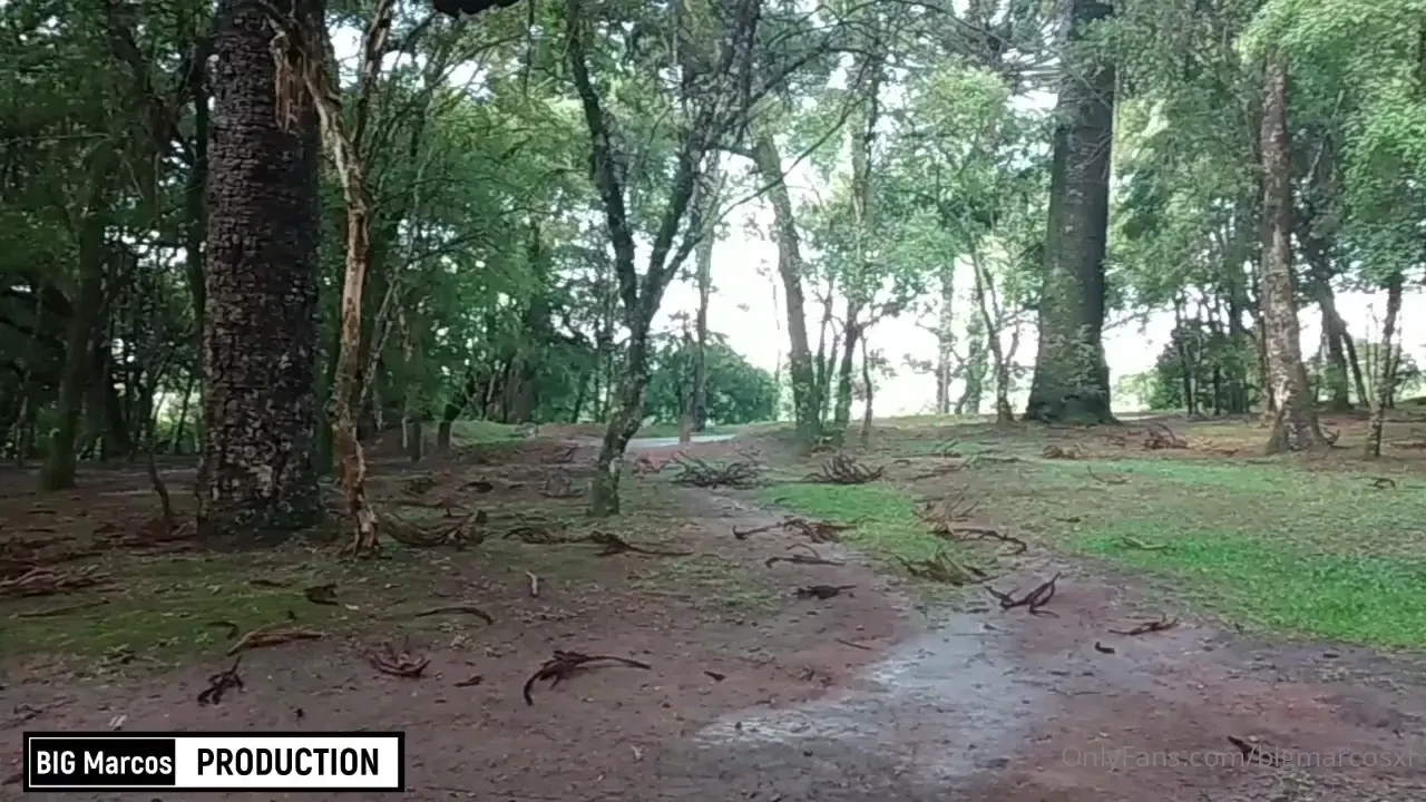 No parque com https onnowplay com bbpaizao - parte 1 