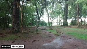 No parque com https onnowplay com bbpaizao - parte 1