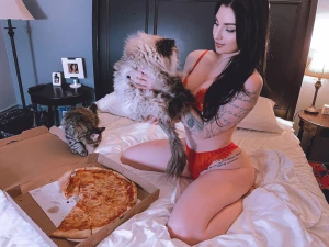 Who wants to see what my cats were interrupting today