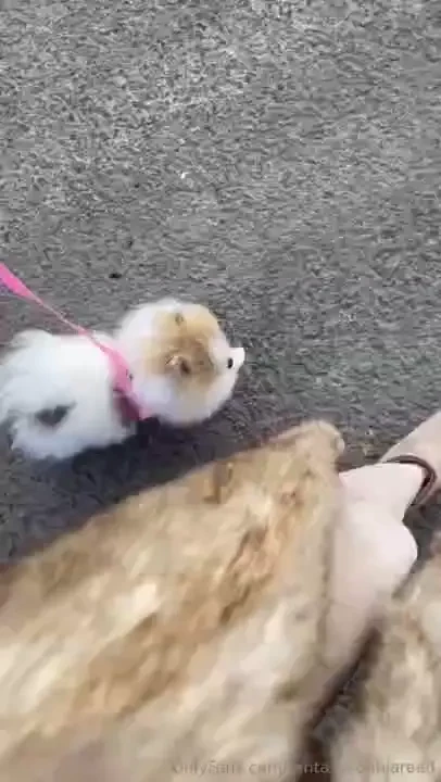 Have someone that looks at you like my pookie does when we walk 