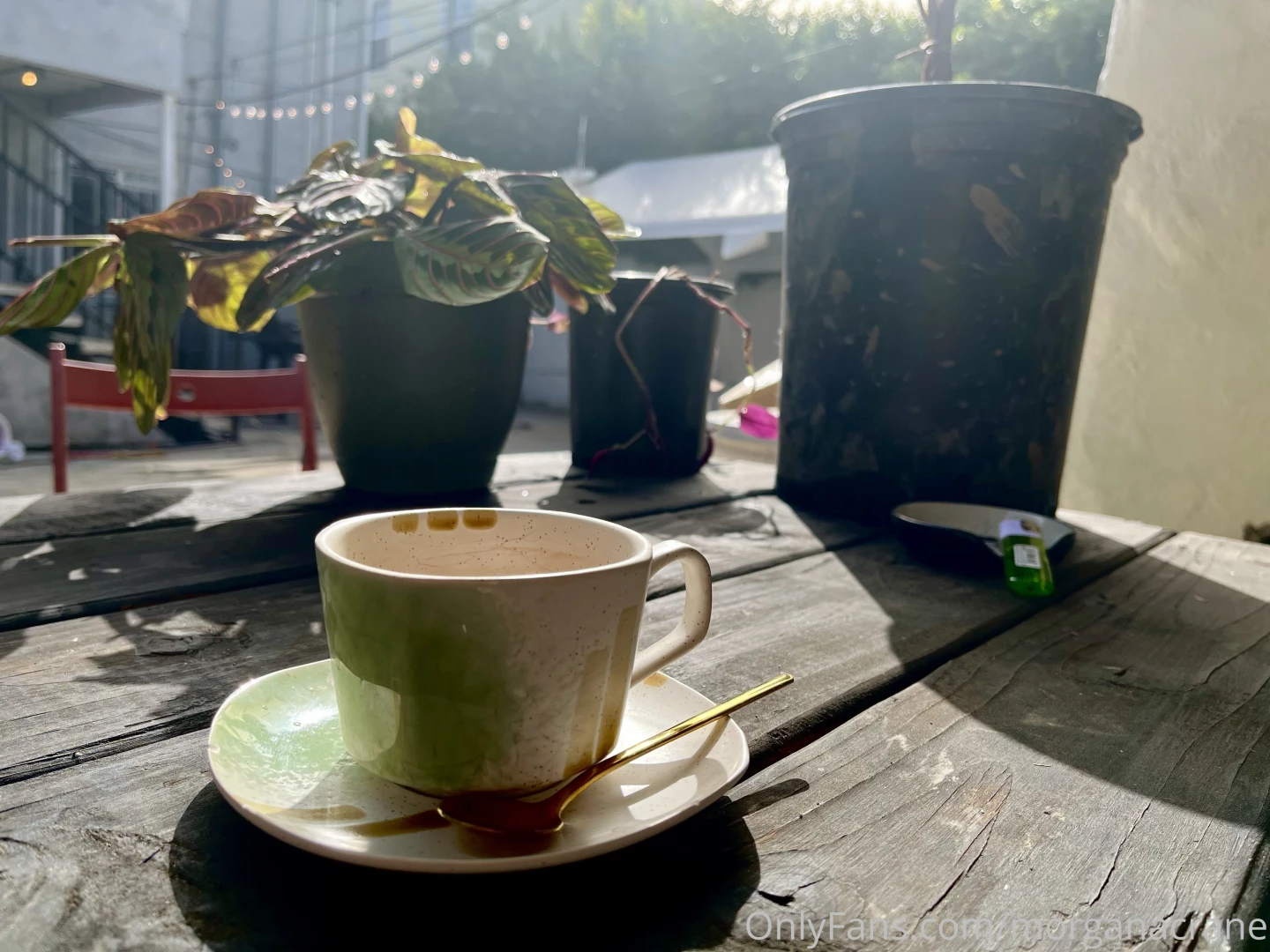 Relaxing in my back yard contemplating more fun content for you all 