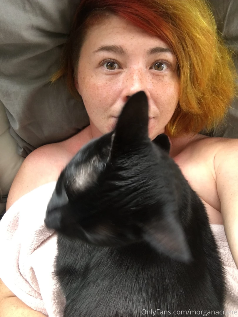 Haven t posted lately bc i have the flu but hello from me and my cat 