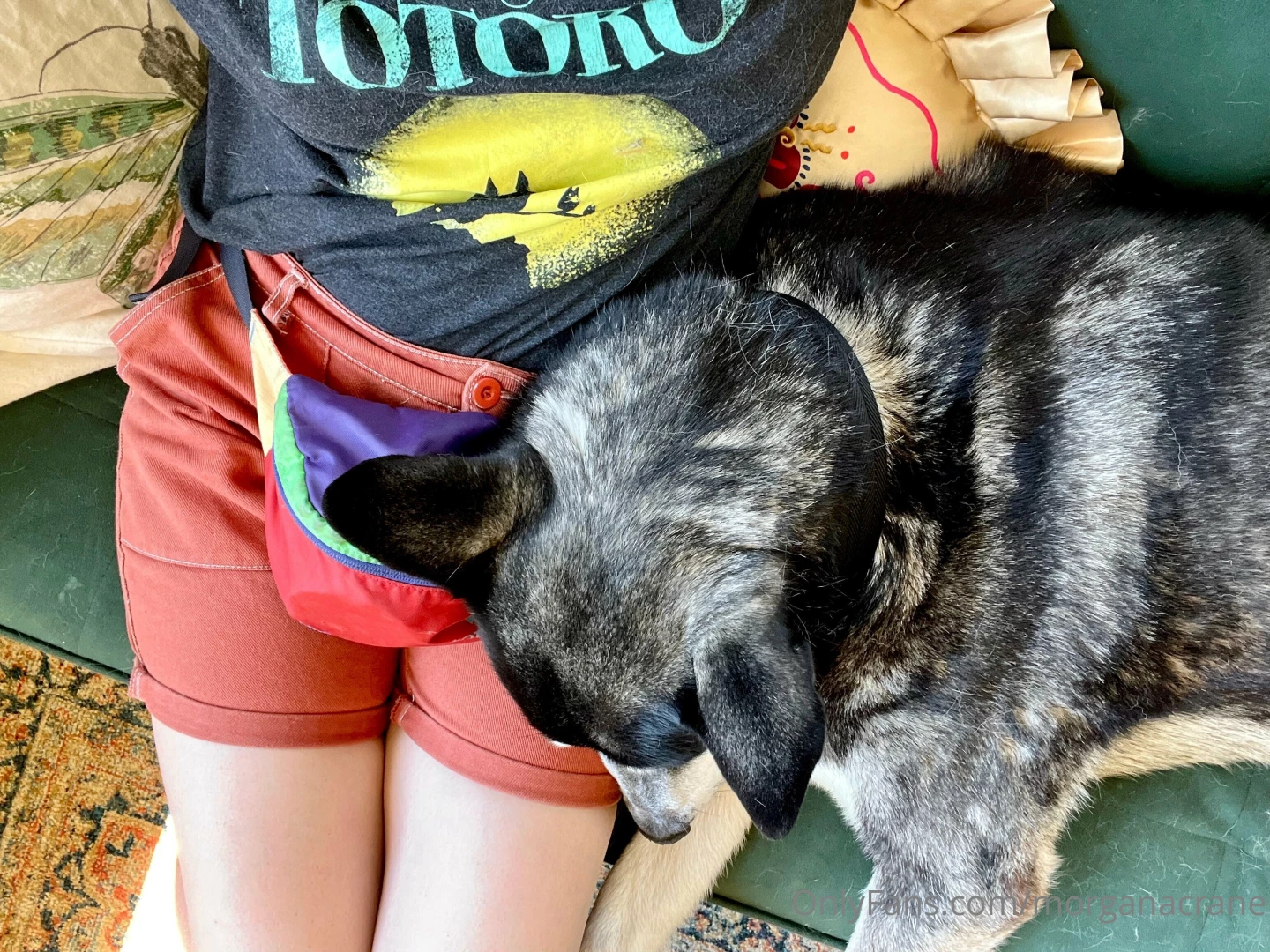 God trauma sucks i hate it it stinks anyway i got a dog and i m hot part 1 