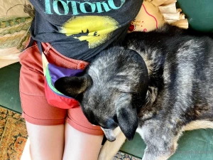 God trauma sucks i hate it it stinks anyway i got a dog and i m hot part 1