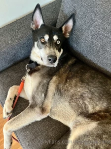 God trauma sucks i hate it it stinks anyway i got a dog and i m hot part 3