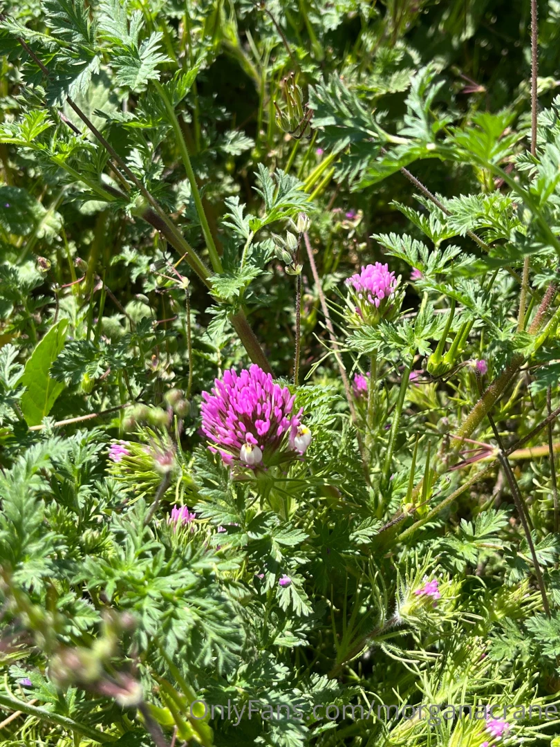 God trauma sucks i hate it it stinks anyway i got a dog and i m hot part 4 