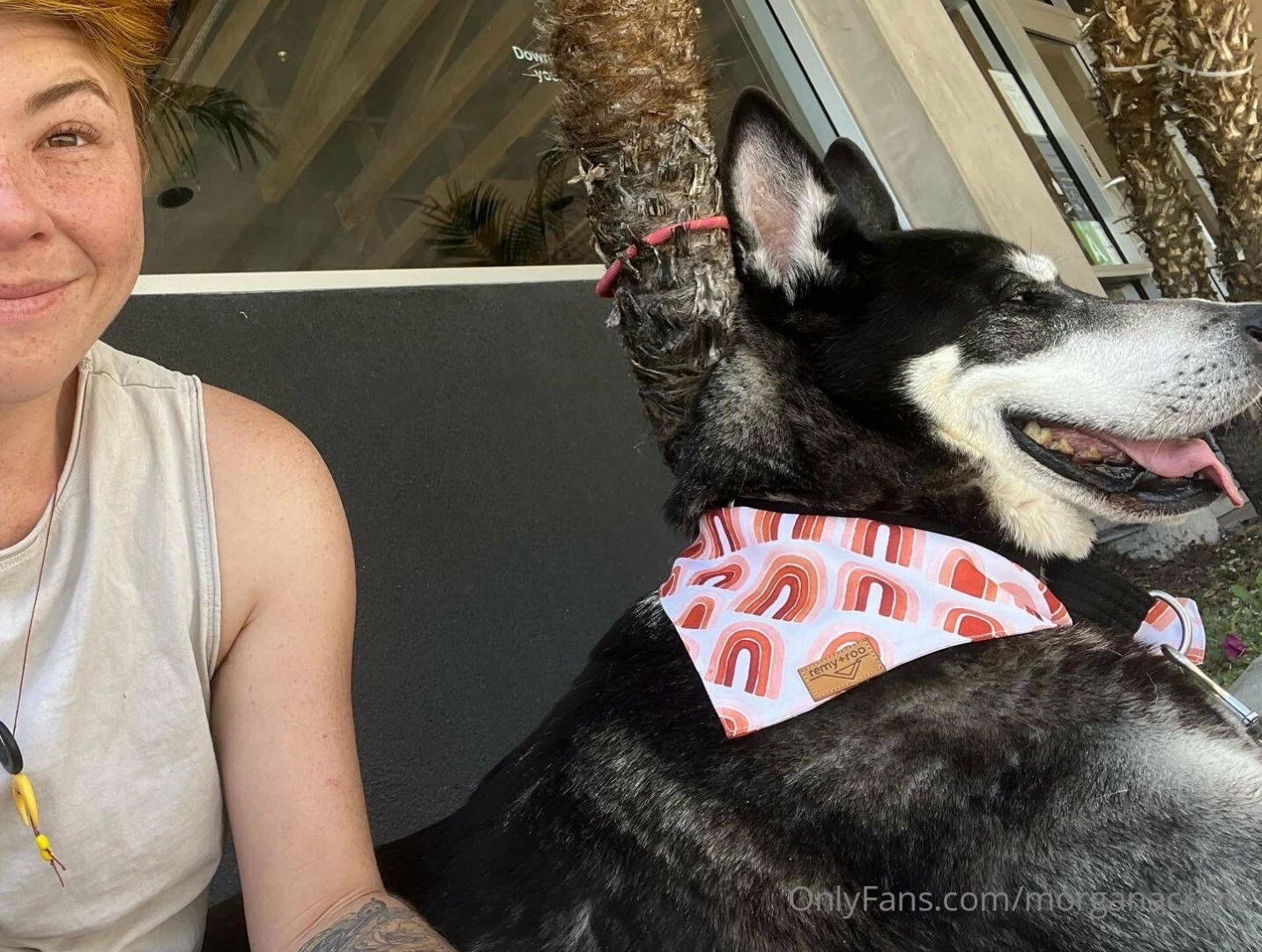 God trauma sucks i hate it it stinks anyway i got a dog and i m hot 