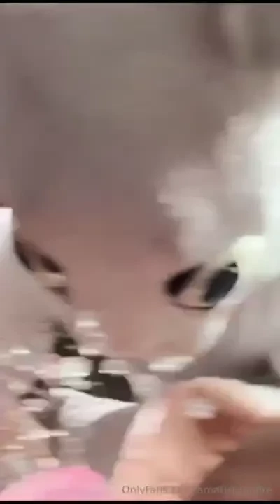 P gina vip al 35 de descuento solo 5 cupos ya disfrutaste de mi ltima 