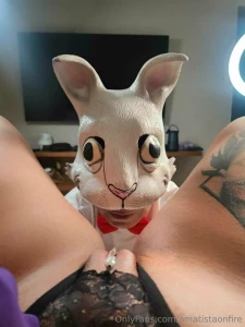 Disfruta la deliciosa vista completa que tiene este conejo