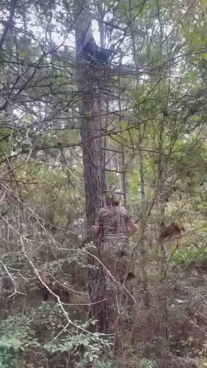 Before and after of filming out at the deer stand today part 1 