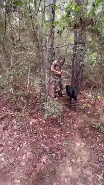 Before and after of filming out at the deer stand today 