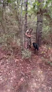 Before and after of filming out at the deer stand today