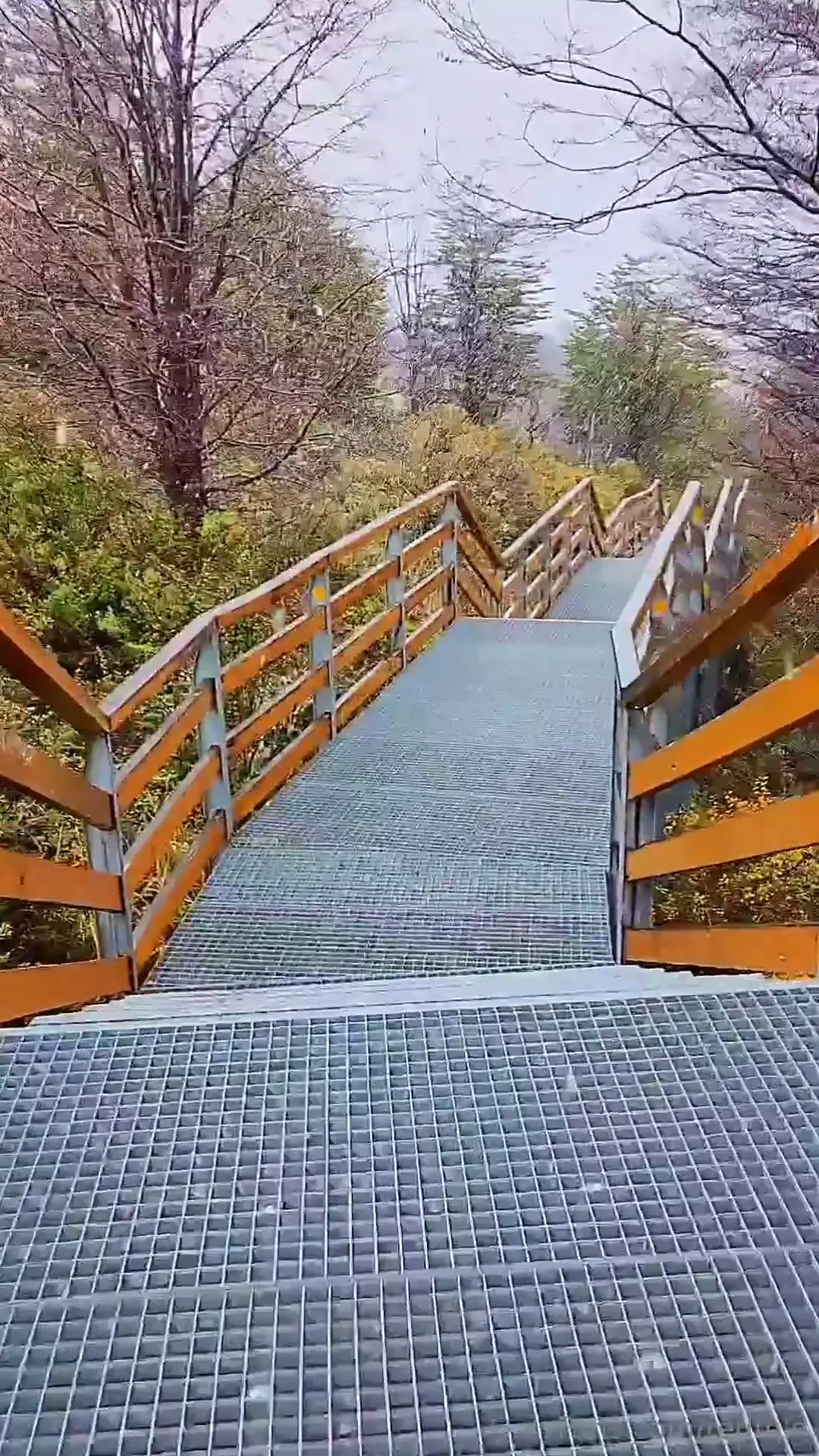 New fast blowjob with cumshot while it is snowing 3min - 9 99 se la 