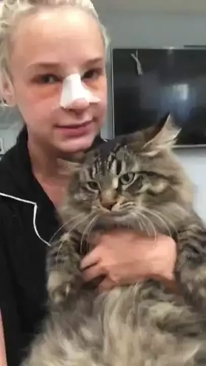 Update on why i have not cannot post anything right now but i will be 