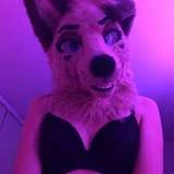 angel_pups