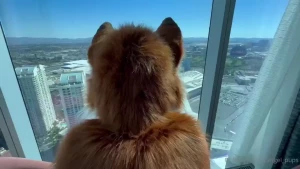 Maybe the view my moaning my tight pussy whatever it was he wasn t