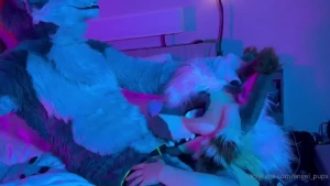 Big bad wolf at it again looks like he found the lovely small