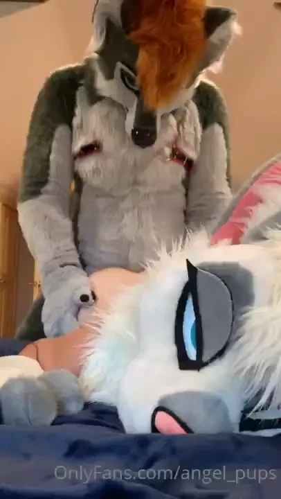 This kitty was something else i don t think we left the bedroom 