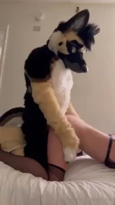 Daydreaming about the time i got railed by a big shep stud part 1