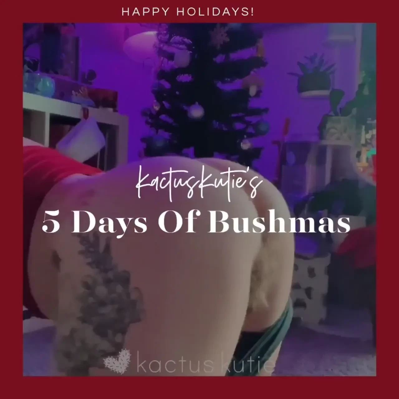 5 days of bushmas video compilation of 5 very bushy christmas videos 