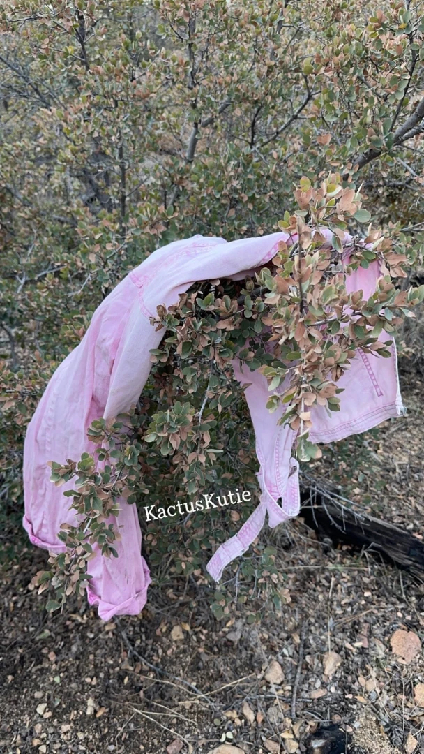 Letting my overalls dry after i soaked them on my hike watch me piss 