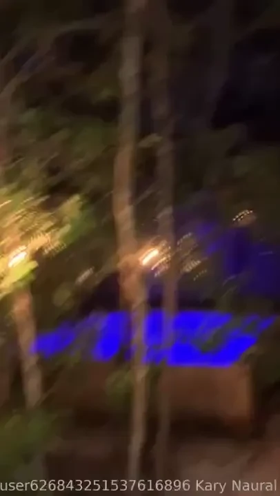 Un peque o tour por naturytown tuvimos un muy buena fiesta me picaron 