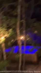 Un peque o tour por naturytown tuvimos un muy buena fiesta me picaron