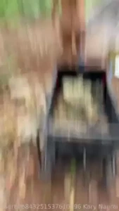 Trabajar en el campo es duro estamos limpiando el terreno para tener part 1