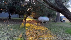 A new outdoor pee at sunset my butthole looks beautiful in the golden