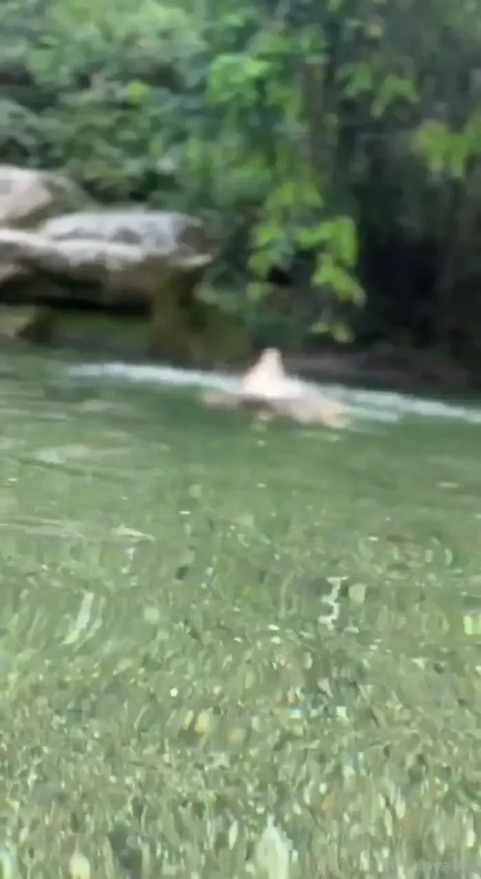 Your sexy mermaid tu sexy sirena paovalen paovalen fyp toys dildo 