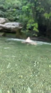 Your sexy mermaid tu sexy sirena paovalen paovalen fyp toys dildo