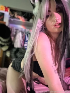 Raccoon buice is back and they ve brought you some sloppy drooly part 1