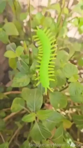 As the excellent scientist that i am i always enjoy a day of research