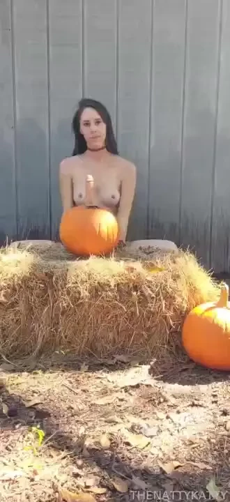 Pumpkin stem masturbation freaky foreignobjectinsertion 