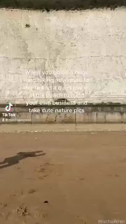 I made 2 tiktoks today guess which one got instantly deleted hahaha part 1 