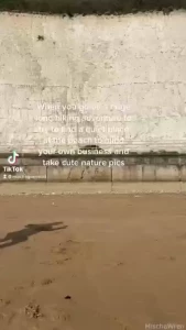 I made 2 tiktoks today guess which one got instantly deleted hahaha part 1