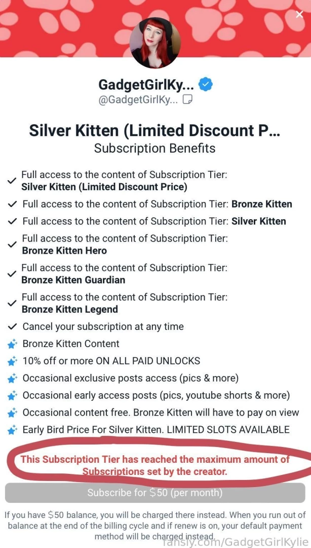 I can t believe i sold out of the silver kitten limited discount tier part 1 