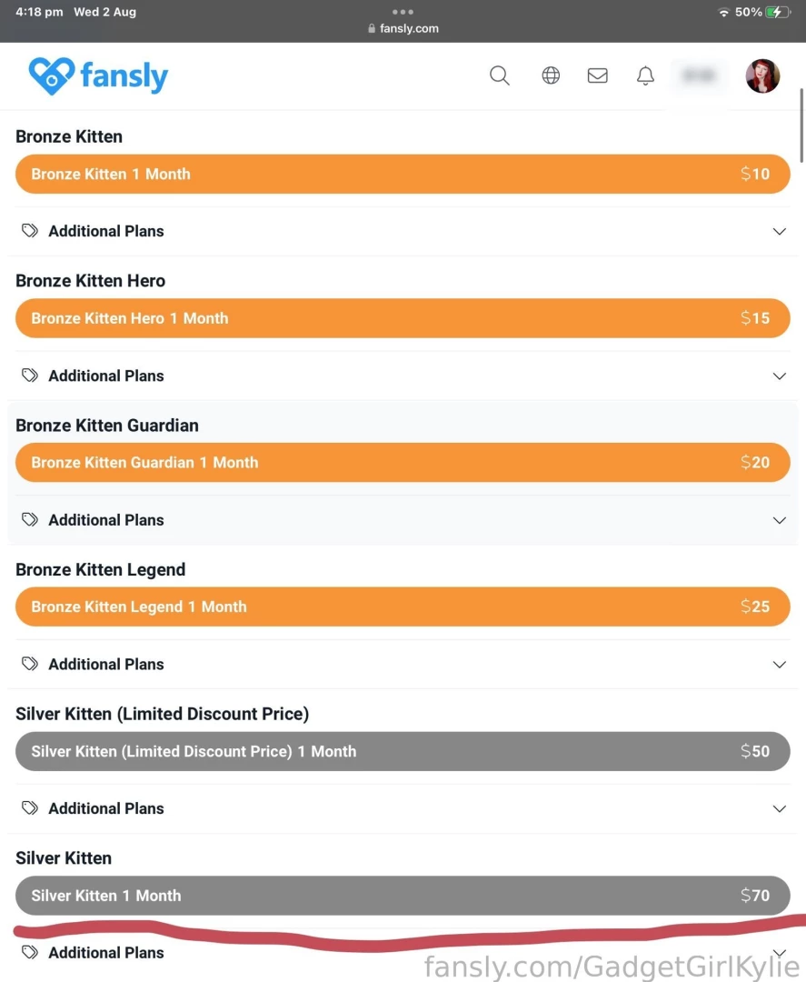 I can t believe i sold out of the silver kitten limited discount tier 