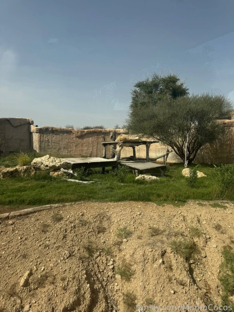 Was at the al-ain open zoo today part 1 