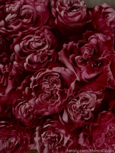 What are your plans for the evening part 3