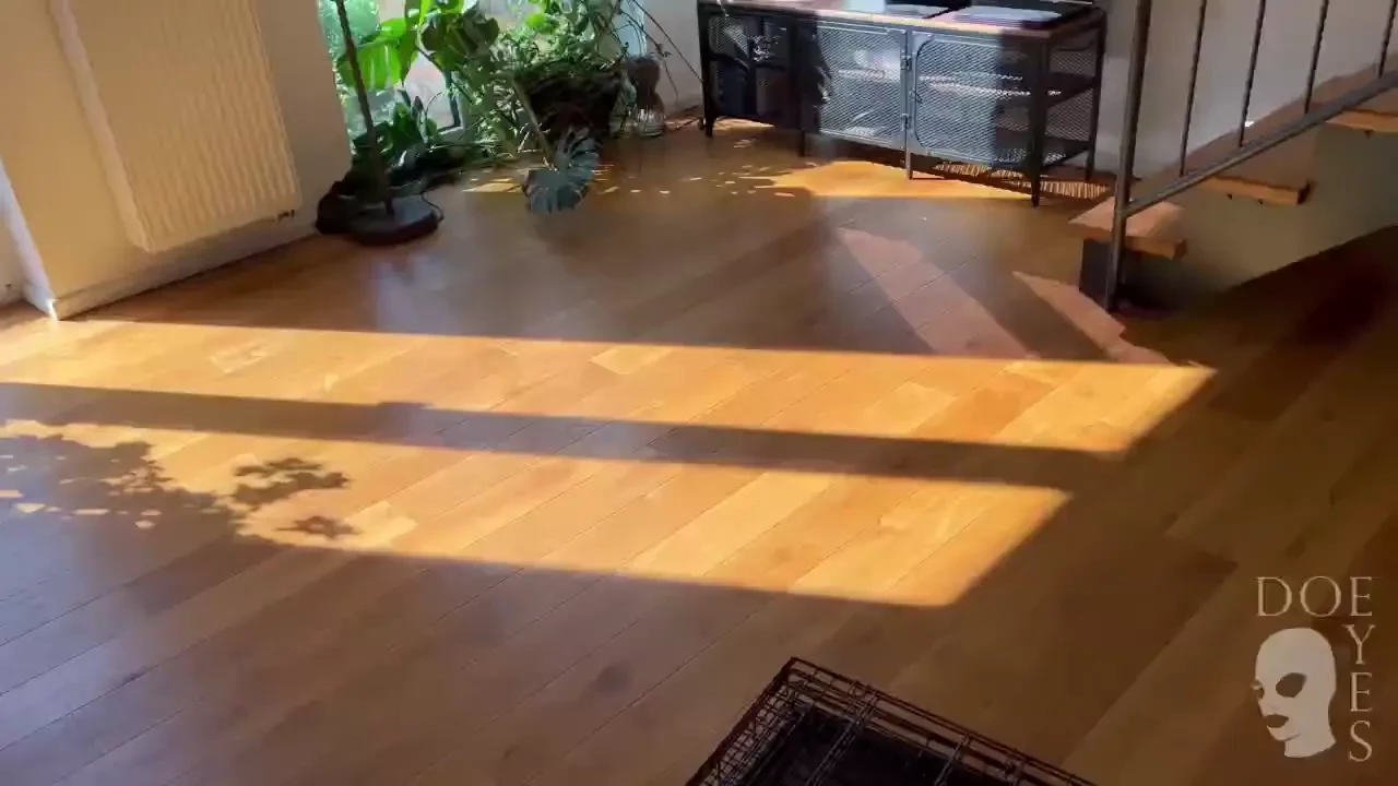 My dear vip-fam today is such a perfect day for shooting it s one of 